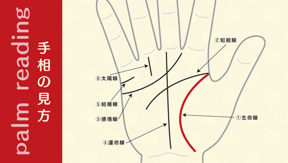 生命線を観るポイント 手相観ぱなせ