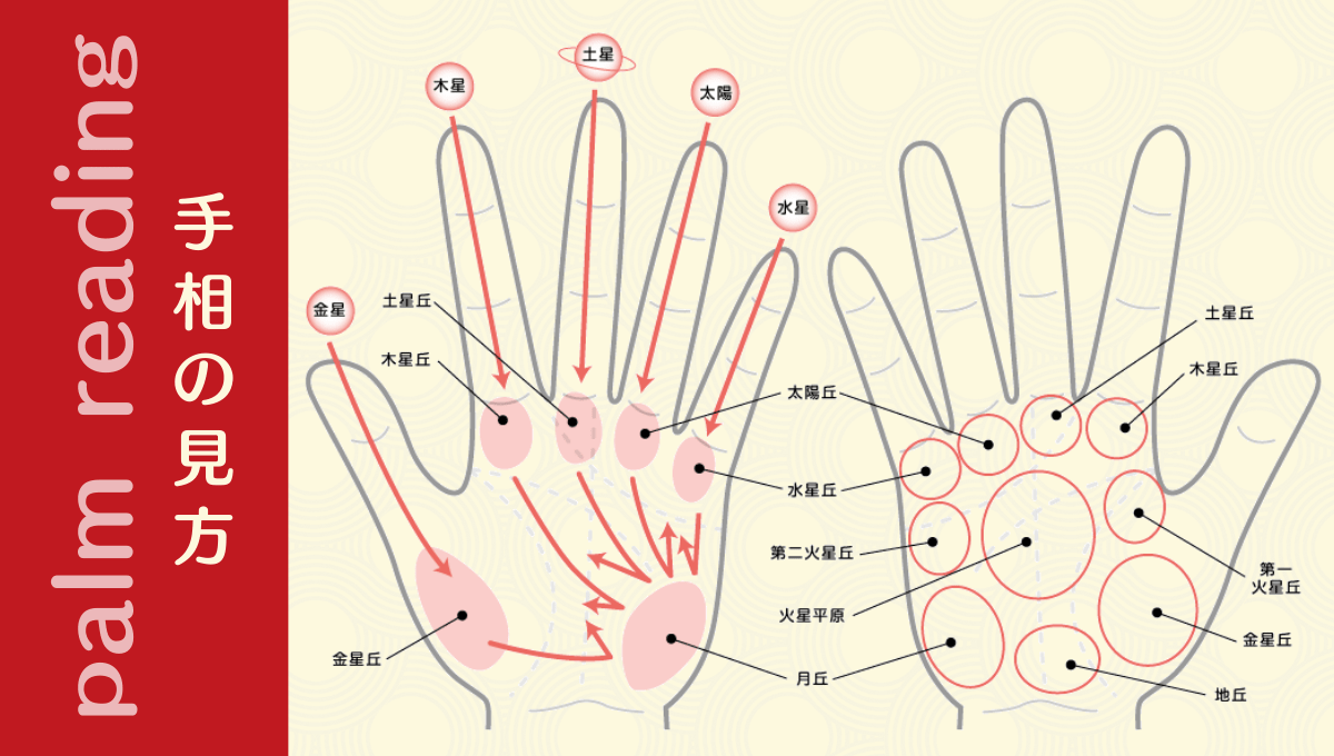 手相を知るには 丘 きゅう の意味を知るが大事 手相観ぱなせ