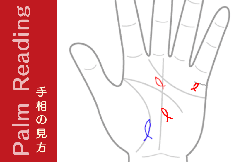 フィッシュ って何だ 手相観ぱなせ