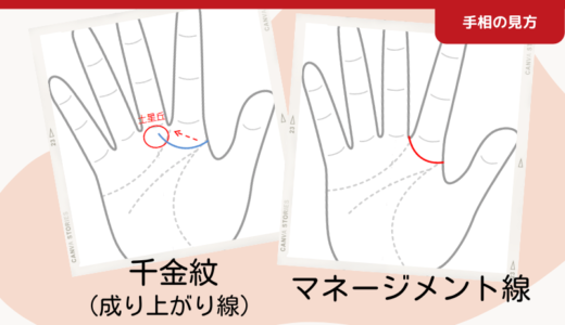 人差し指を囲むようにでる『千金紋』と『マネージメント線』