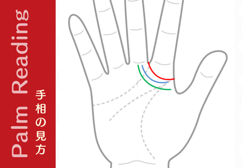 人差し指を囲むようにでる マネージメント線 千金紋 手相観ぱなせ