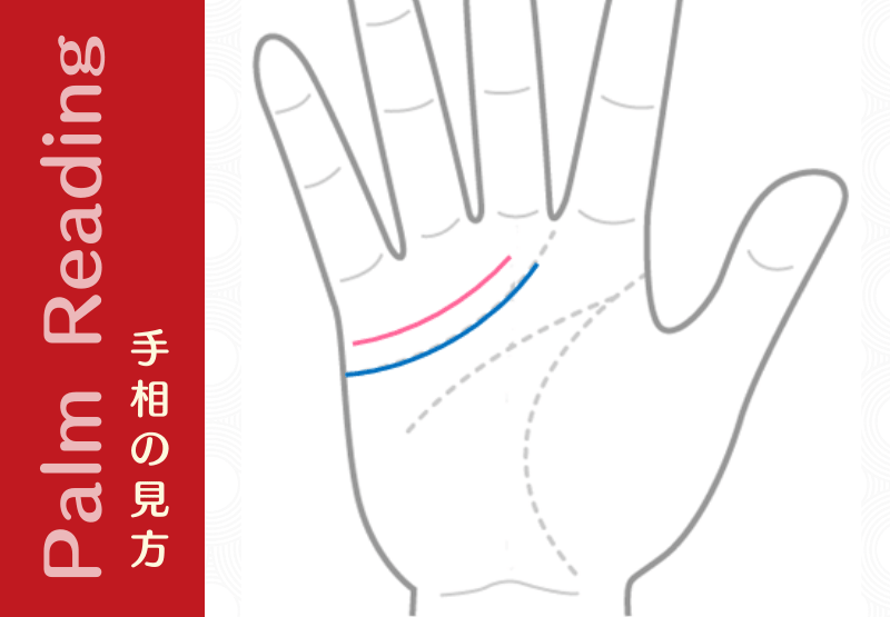 愛情も情熱も2倍の 二重感情線 を持つ人は逆境に強い人 手相観ぱなせ