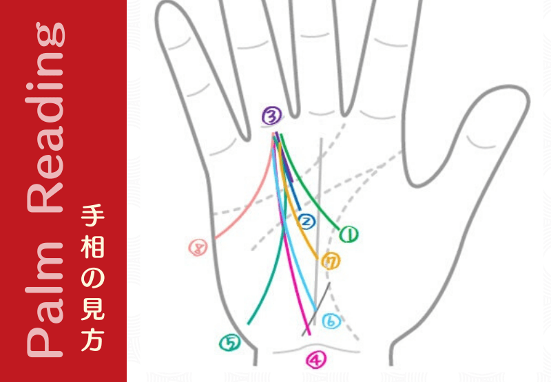 太陽線8種 太陽線も色んなところから伸びる 手相観ぱなせ