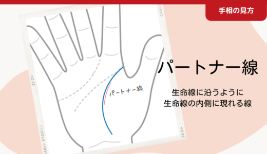 生命線の内側に現れる【パートナー線】