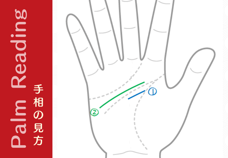 二重知能線 短い知能線と生命線から離れた知能線 手相観ぱなせ