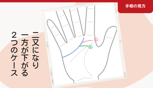 感情線の先端が二又に分かれ、一方の枝線が下がっている２つのケース