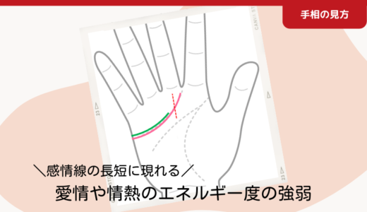 感情線の長短に現れる｜愛情や情熱のエネルギー度の強弱