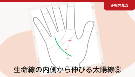 生命線の内側から伸びる太陽線③ 結婚運・配偶者運に恵まれる人