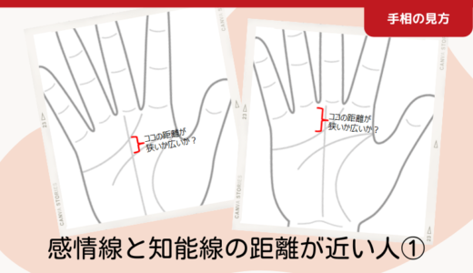 感情線と知能線の距離が近い人①｜感情線寄り