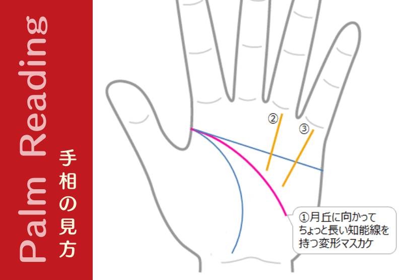 長い知能線を持つ変形マスカケの人は 天才的ひらめき力のある人 手相観ぱなせ