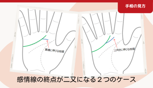 感情線の終点が二股に枝分かれする２つのケース