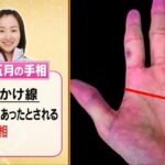 ますかけ線 を持つ女性は 尽くし型でよい奥さんになるそうですよ 手相観ぱなせ