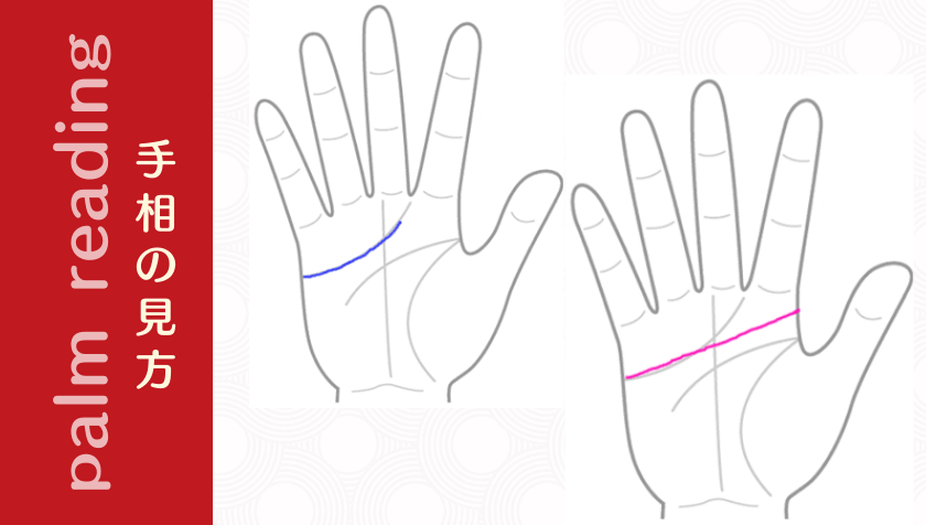 手のひらを横切る真っすぐ長い感情線は ちょっと注意が必要かもかも 手相観ぱなせ