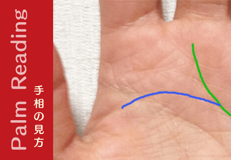 枝線
