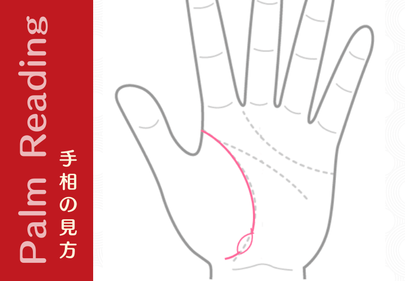 生命線の下方に島ができていれば 生活習慣病に注意 手相観ぱなせ