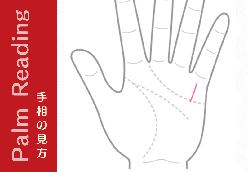 財運線がない 複数ある キレギレになってる それぞれの特徴 手相観ぱなせ