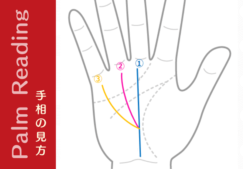 大吉相の 三奇紋 三喜紋 さんきもん は 覇王線 はおうせん の別名なのにゃ Fwf 手相観ぱなせ
