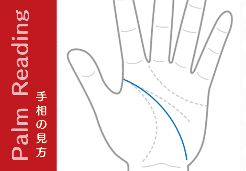 手首ぐらいまで伸びる知能線を持つ人は オタク資質あり O 手相観ぱなせ