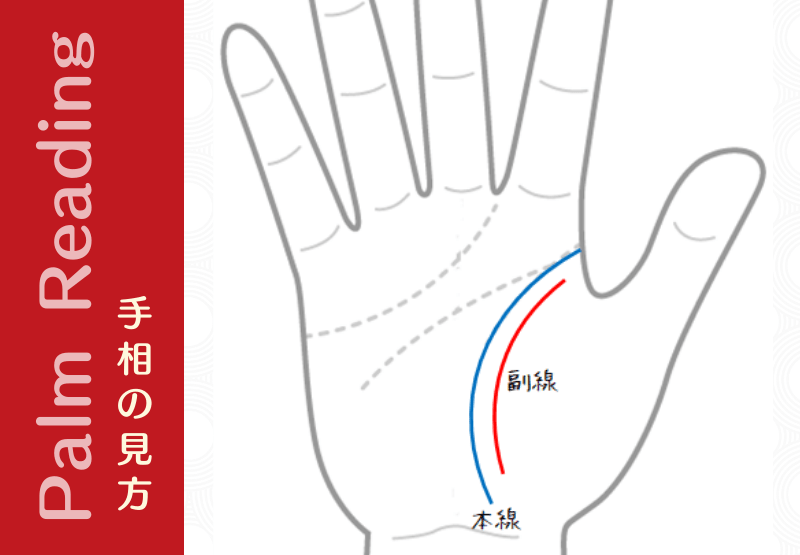 アスリートや多忙な人に出る 二重生命線 は 生命力を強化している 手相観ぱなせ
