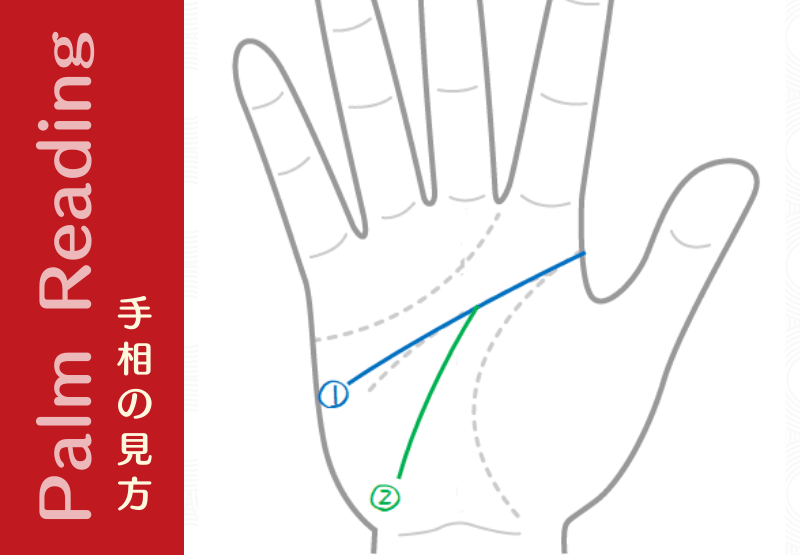 二重知能線 思考タイプの違う2種類の知能線 手相観ぱなせ