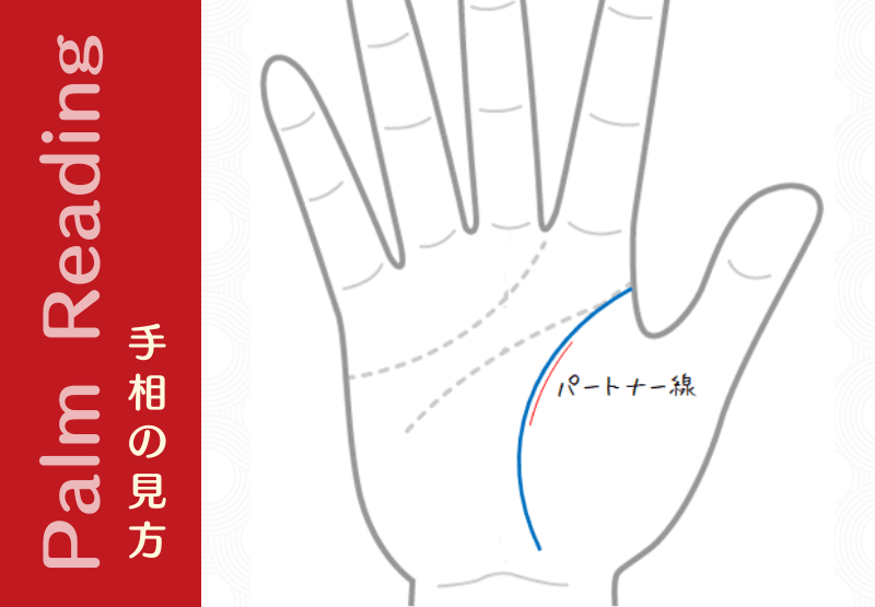 恋愛線 手相観ぱなせ