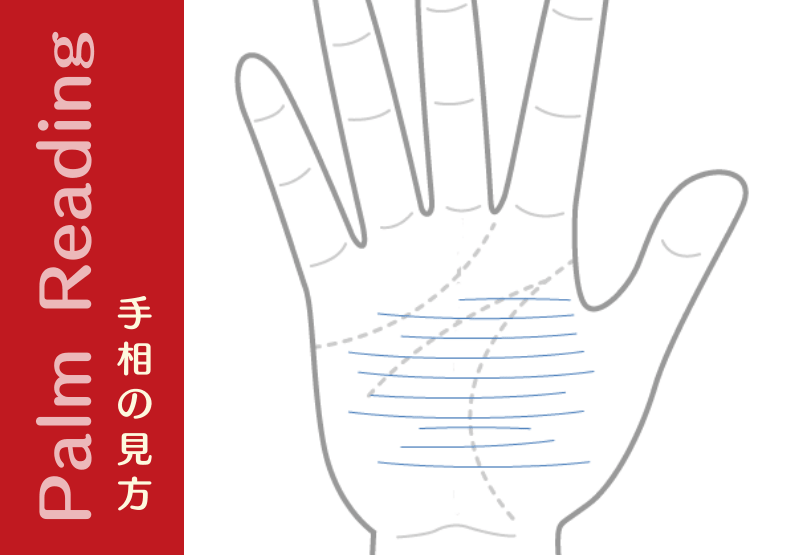 ストレス線 手の平全体に横線がいっぱい出てる人は 心身の休息タイムが必要よ 手相観ぱなせ