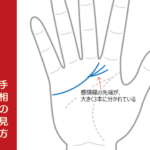 感情線の先端が3本に分かれている人は 細かやな気配りができる人 手相観ぱなせ