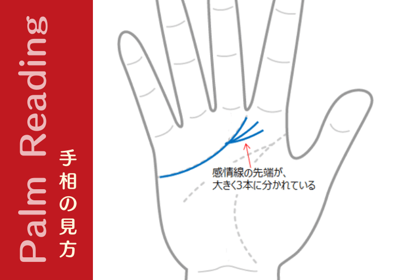 感情線の先端が3本に分かれている人は 細かやな気配りができる人 手相観ぱなせ