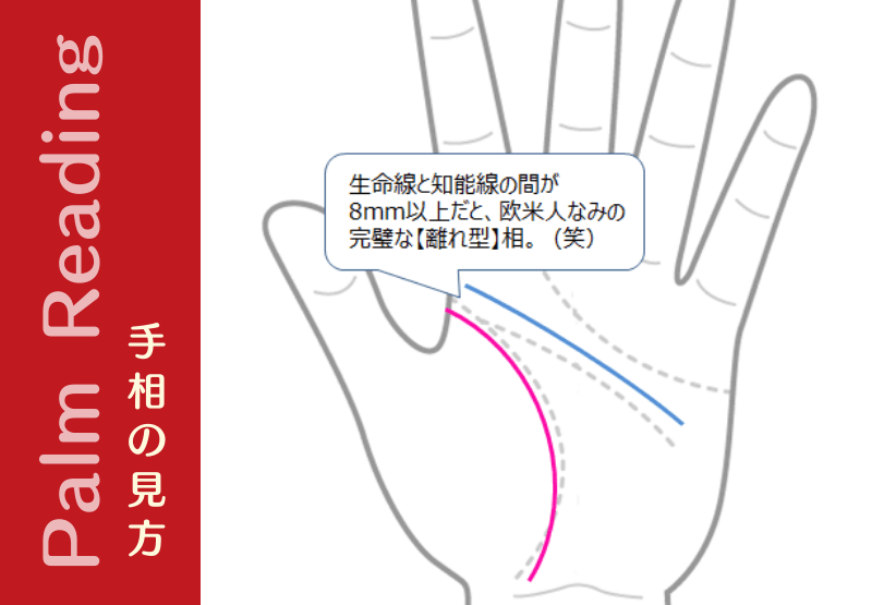 有名人の手相 手相観ぱなせ