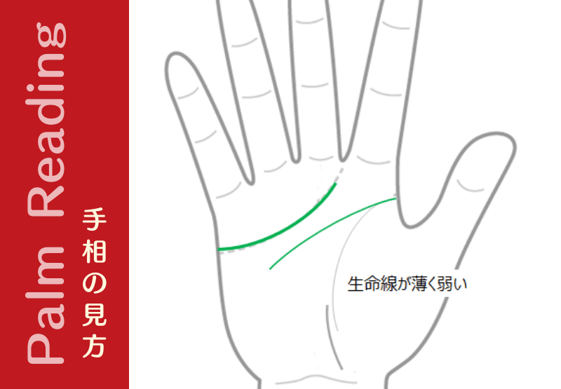 生命線が薄い人は なにはともあれ身体を強くしよう 手相観ぱなせ