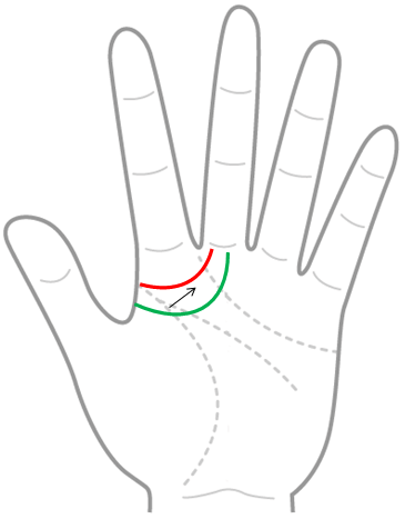 よく似た線 成り上がり線と火星環 手相観ぱなせ