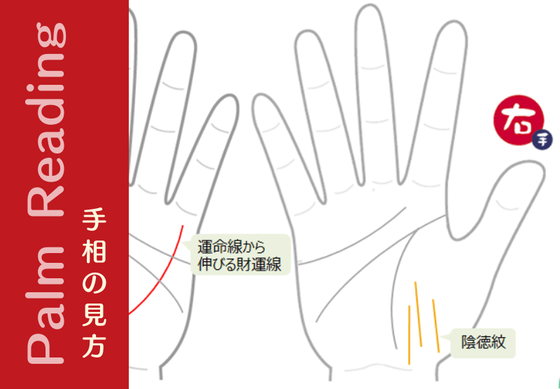 左右で財運線の出方が違う手相の見方例 手相観ぱなせ