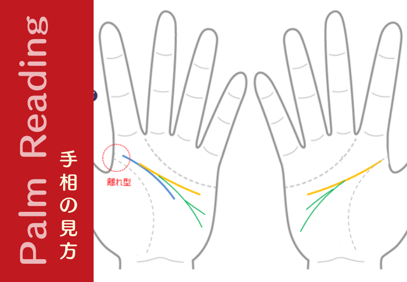 3本以上の知能線を持つ人は あえて１つに絞らない方が良い良い 手相観ぱなせ