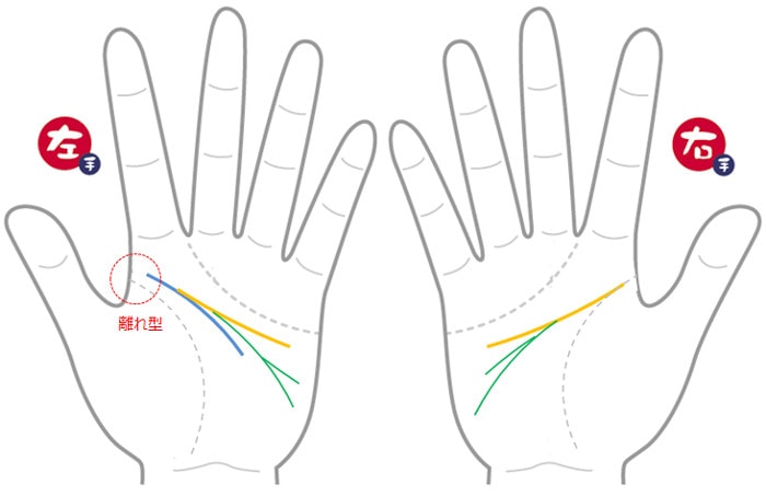 3本以上の知能線を持つ人は あえて１つに絞らない方が良い良い 手相観ぱなせ