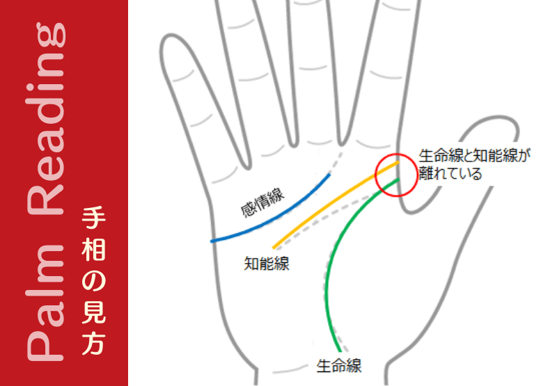 両手離れ型の人は 自分を飽きさせない工夫が大事 手相観ぱなせ