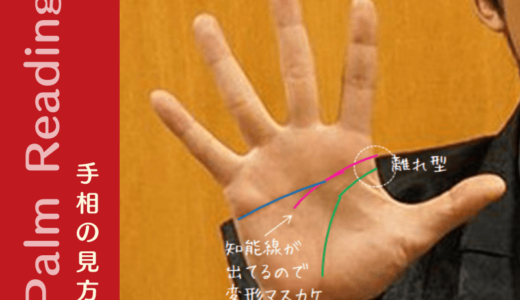 高橋一生さんの右手は「離れ型の変形マスカケ」という超レア手相！？