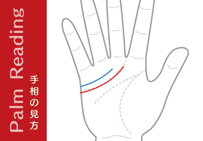 二重感情線と分離感情線 よく似てるけど違う相 手相観ぱなせ