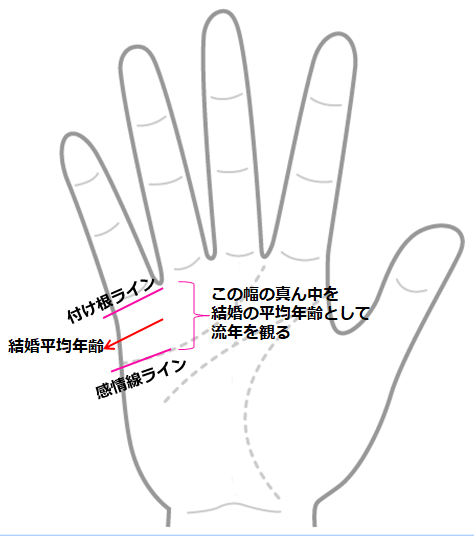 結婚線の流年 年齢 はどう観る 結婚線は結婚運を観るのが良い 手相観ぱなせ