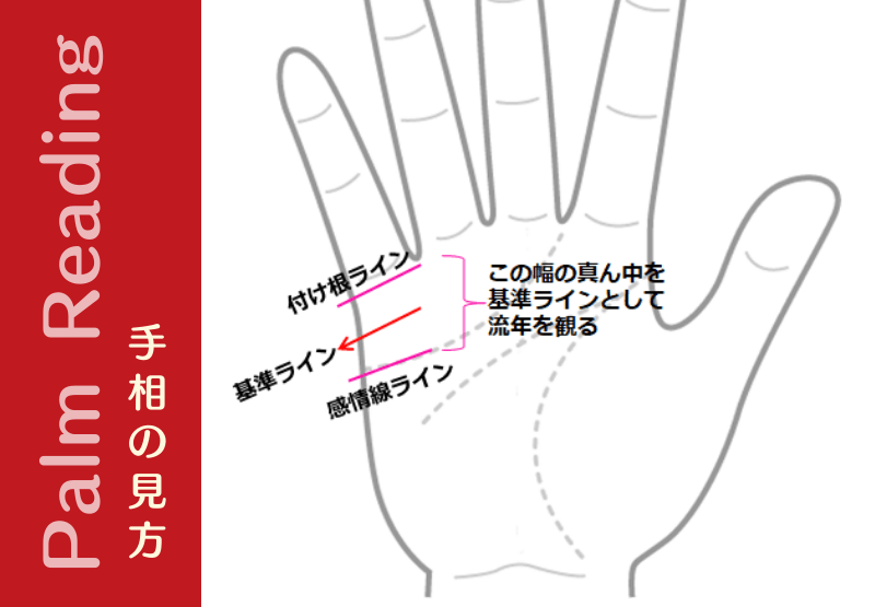 結婚線の流年 年齢 はどう観る 結婚線は結婚運を観るのが良い 手相観ぱなせ