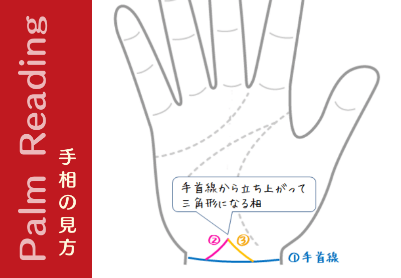 土台線 と言われる相３種類 手相観ぱなせ