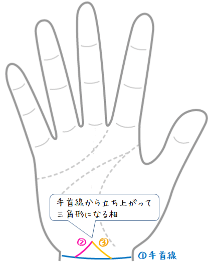 土台線 と言われる相３種類 手相観ぱなせ