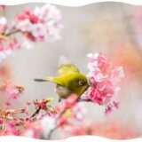 LINEチャットdeワンポイント鑑定はじめました。